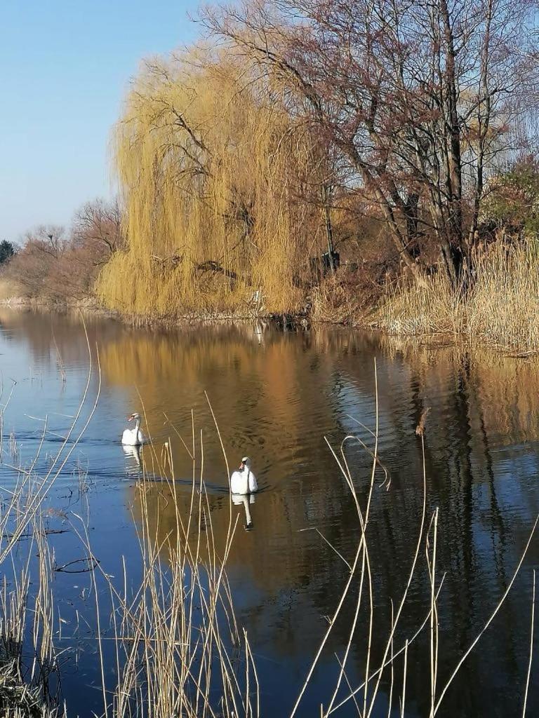 *Dana Pokoje Goscinne Danzig Exterior foto